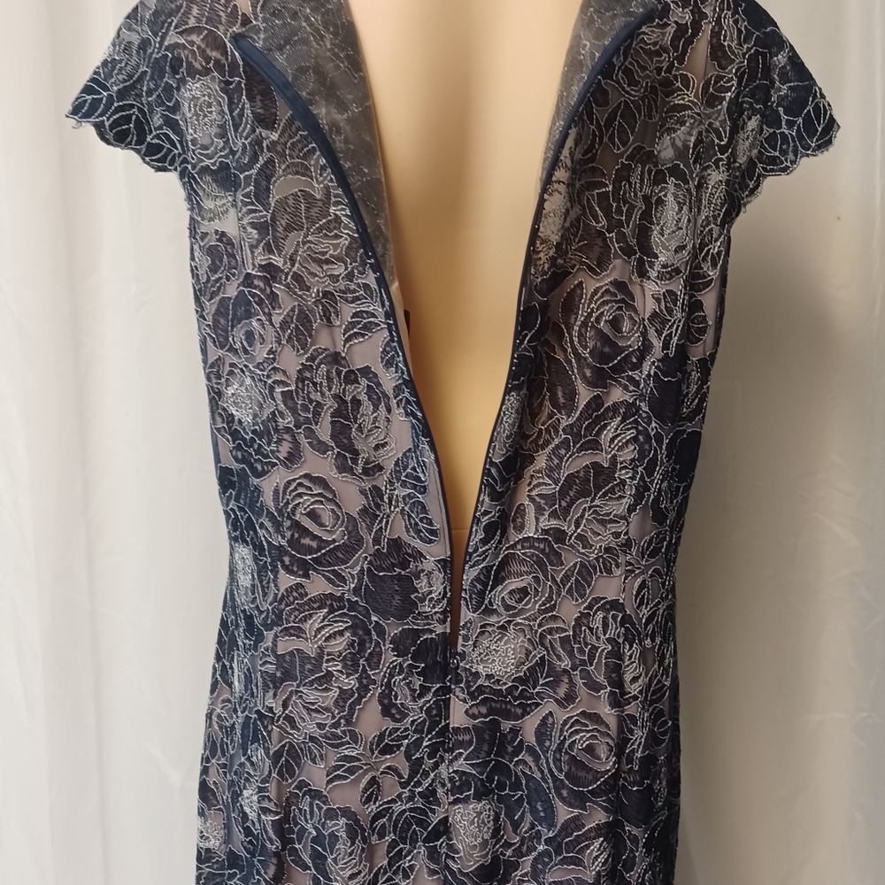 TADASHI SHOJI TOO SiZE 18Q. Elegant Lace Overlay Dress - Picture 10 of 16